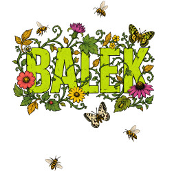 Balek - póló