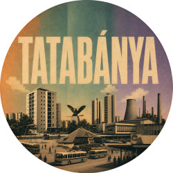 Tatabánya - férfi póló